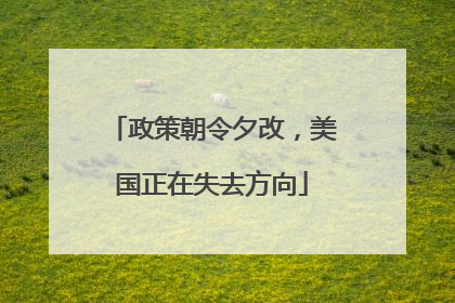 政策朝令夕改，美国正在失去方向
