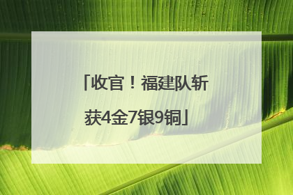 收官！福建队斩获4金7银9铜