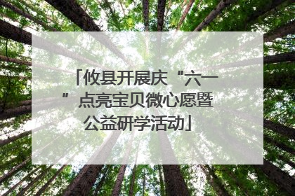 攸县开展庆“六一”点亮宝贝微心愿暨公益研学活动