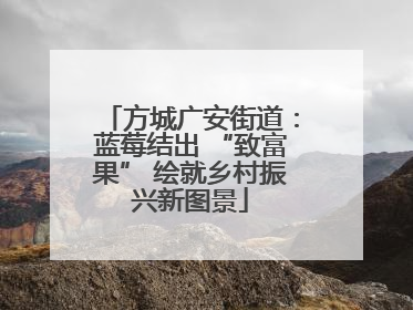 方城广安街道：蓝莓结出 “致富果” 绘就乡村振兴新图景
