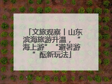 文旅观察丨山东滨海旅游升温，“海上游”“避暑游”酝新玩法