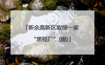 新余高新区取缔一家“黑鞋厂”(图)