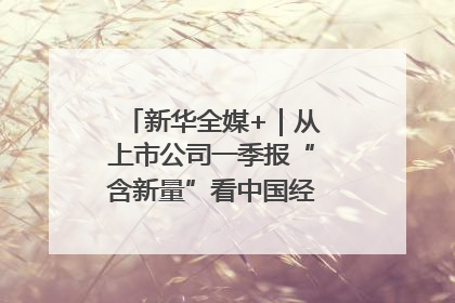 新华全媒+｜从上市公司一季报“含新量”看中国经济发展向“新”