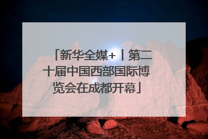 新华全媒+丨第二十届中国西部国际博览会在成都开幕