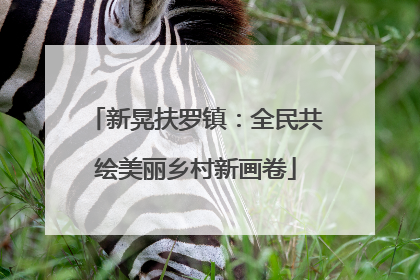 新晃扶罗镇：全民共绘美丽乡村新画卷