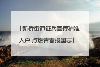 新桥街道征兵宣传精准入户 点燃青春报国志