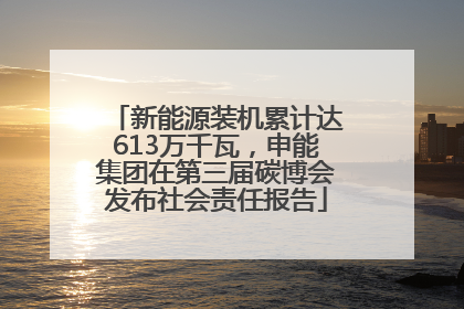 新能源装机累计达613万千瓦，申能集团在第三届碳博会发布社会责任报告