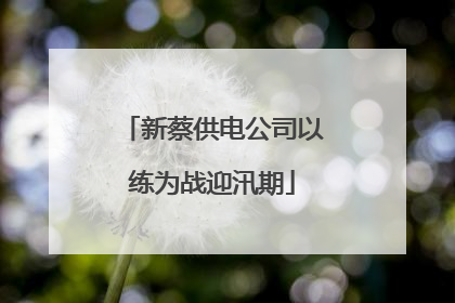 新蔡供电公司以练为战迎汛期