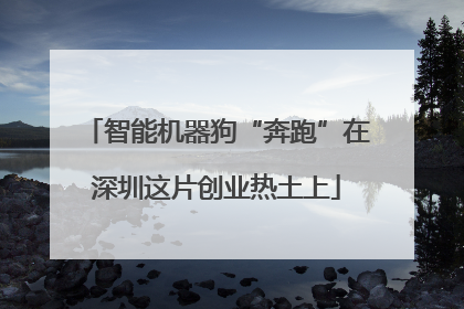 智能机器狗“奔跑”在深圳这片创业热土上