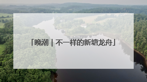 晚潮｜不一样的新塘龙舟