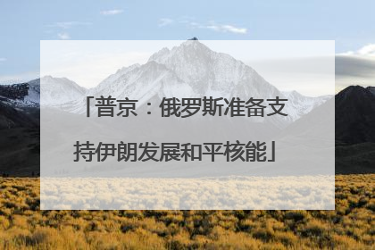 普京：俄罗斯准备支持伊朗发展和平核能