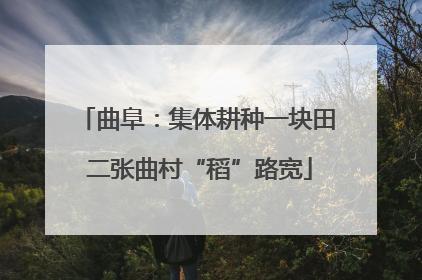 曲阜：集体耕种一块田 二张曲村“稻”路宽