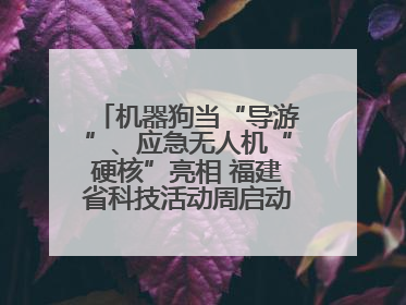 机器狗当“导游”、应急无人机“硬核”亮相 福建省科技活动周启动 百余项特色活动酷炫来袭