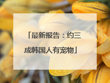 最新报告：约三成韩国人有宠物