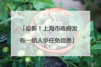最新！上海市政府发布一组人事任免信息