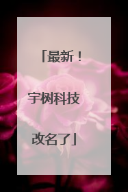 最新！宇树科技改名了
