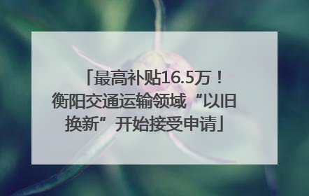 最高补贴16.5万！衡阳交通运输领域“以旧换新”开始接受申请