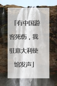 有中国游客死伤，我驻意大利使馆发声