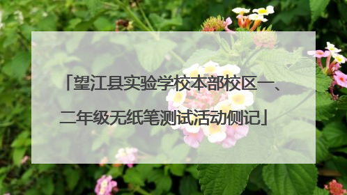望江县实验学校本部校区一、二年级无纸笔测试活动侧记