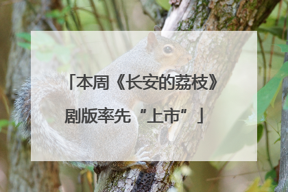 本周《长安的荔枝》剧版率先“上市”