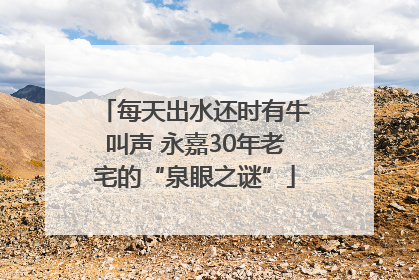 每天出水还时有牛叫声 永嘉30年老宅的“泉眼之谜”