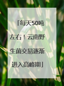 每天50吨左右！云南野生菌交易逐渐进入高峰期