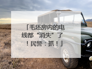 毛坯房内的电线都“消失”了！民警：抓！