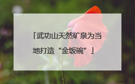 武功山天然矿泉为当地打造“金饭碗”