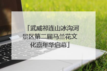 武威祁连山冰沟河景区第二届马兰花文化嘉年华启幕