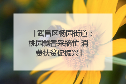 武昌区杨园街道：桃园飘香采摘忙 消费扶贫促振兴