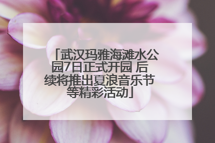 武汉玛雅海滩水公园7日正式开园 后续将推出夏浪音乐节等精彩活动