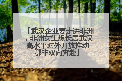 武汉企业要走进非洲，非洲女生想长居武汉 高水平对外开放推动鄂非双向奔赴