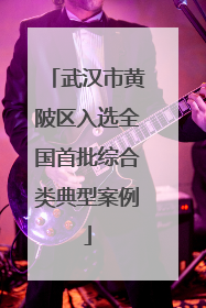 武汉市黄陂区入选全国首批综合类典型案例