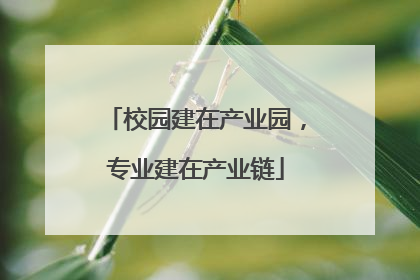 校园建在产业园，专业建在产业链