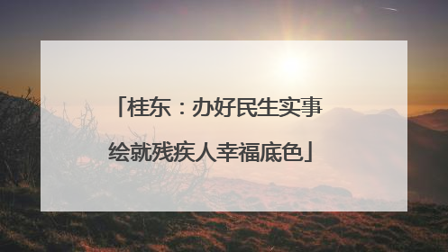 桂东：办好民生实事 绘就残疾人幸福底色