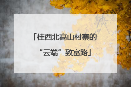 桂西北高山村寨的“云端”致富路