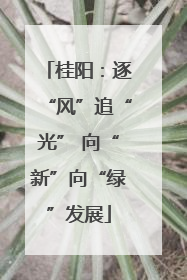 桂阳：逐“风”追“光” 向“新”向“绿”发展