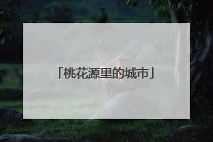 桃花源里的城市