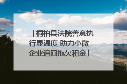 桐柏县法院善意执行显温度 助力小微企业追回拖欠租金