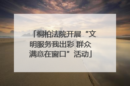 桐柏法院开展“文明服务我出彩 群众满意在窗口”活动
