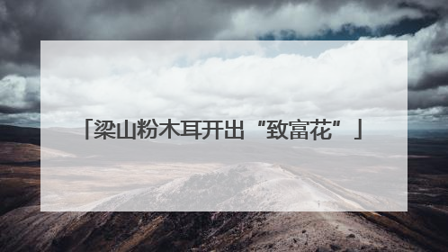 梁山粉木耳开出“致富花”