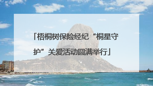 梧桐树保险经纪“桐星守护”关爱活动圆满举行
