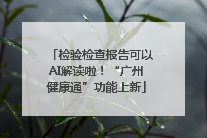 检验检查报告可以AI解读啦！“广州健康通”功能上新