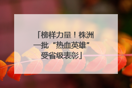 榜样力量！株洲一批“热血英雄”受省级表彰