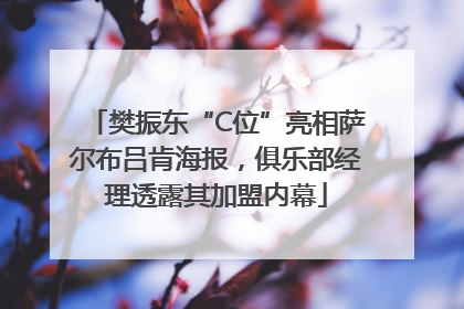 樊振东“C位”亮相萨尔布吕肯海报，俱乐部经理透露其加盟内幕