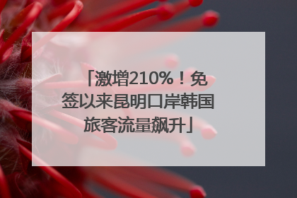 激增210%！免签以来昆明口岸韩国旅客流量飙升