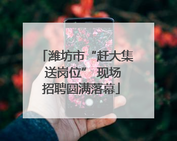 潍坊市“赶大集 送岗位” 现场招聘圆满落幕