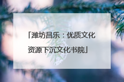 潍坊昌乐：优质文化资源下沉文化书院