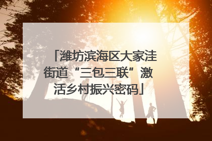 潍坊滨海区大家洼街道“三包三联”激活乡村振兴密码