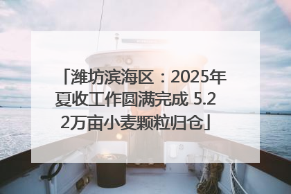 潍坊滨海区：2025年夏收工作圆满完成 5.22万亩小麦颗粒归仓